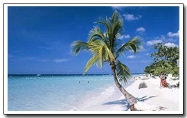 Indian Beach Holidays