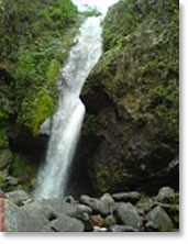 gangtok Tours