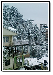 Simla Kulu Manali Tours Packages Tours
